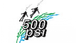 500 PSI