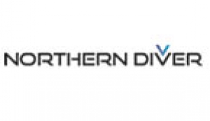 Northern Diver